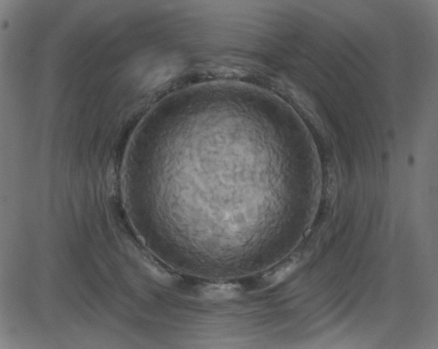 X0000082960465200702011312