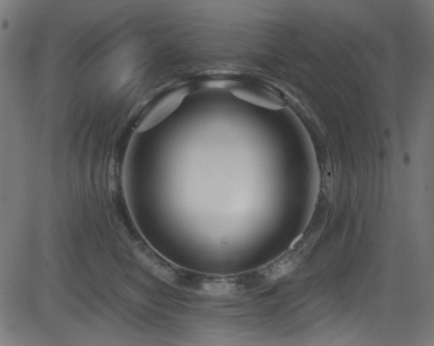 X0000082960470200702011312