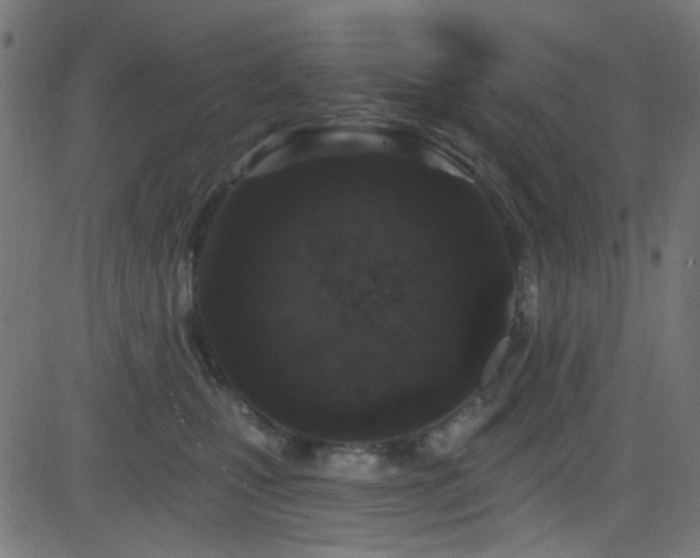 X0000082960471200702011312