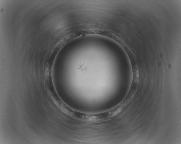 X0000082960472200702011312