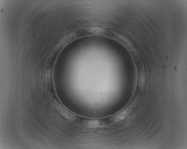 X0000082960473200702011312