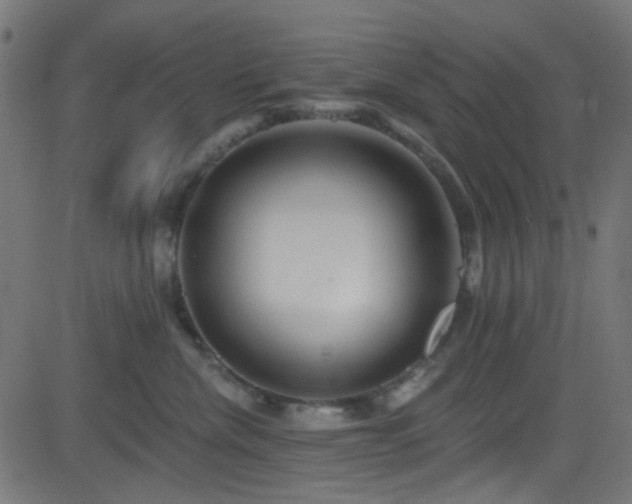 X0000082960476200702011312