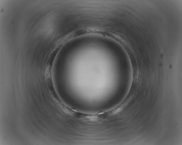 X0000082960478200702011312