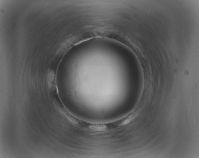 X0000082960480200702011312