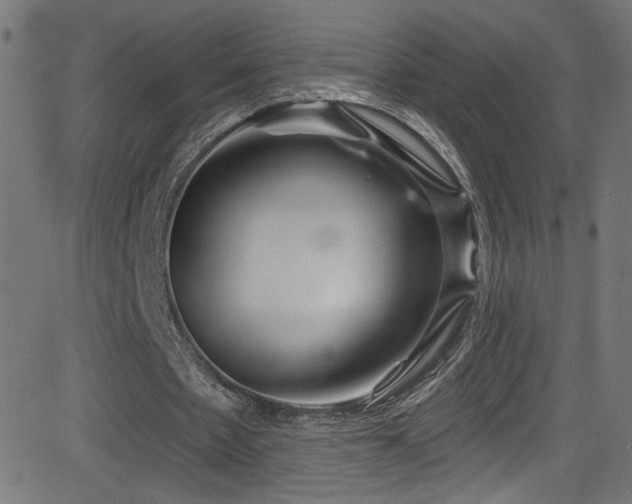 X0000082960481200702011311