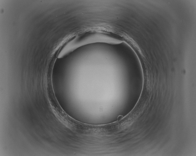 X0000082960482200702011311