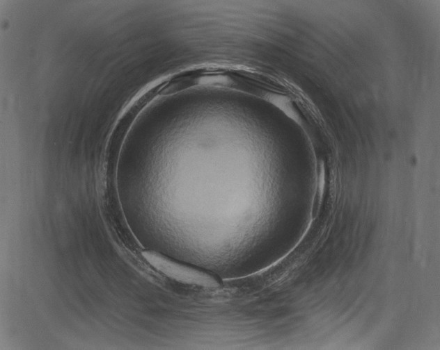 X0000082960484200702011311