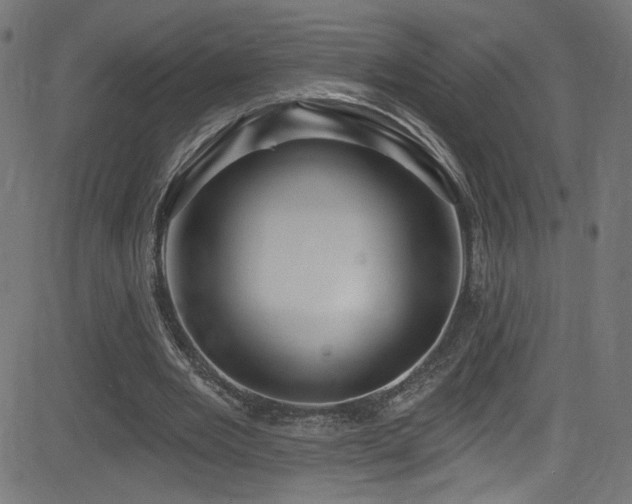 X0000082960485200702011311