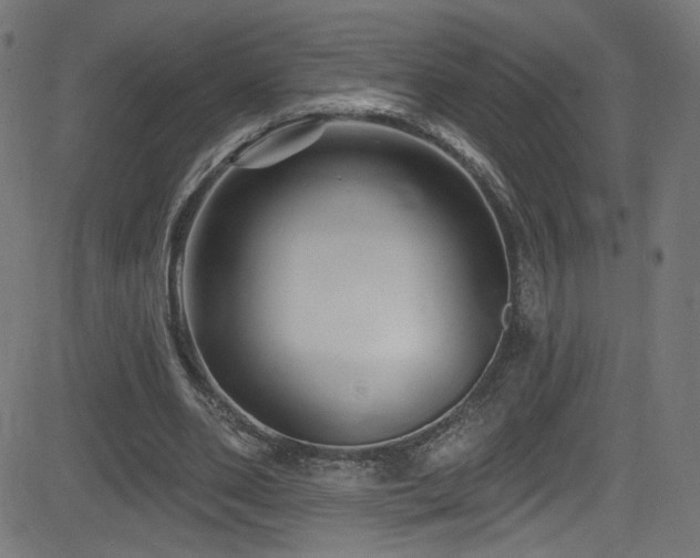X0000082960486200702011311