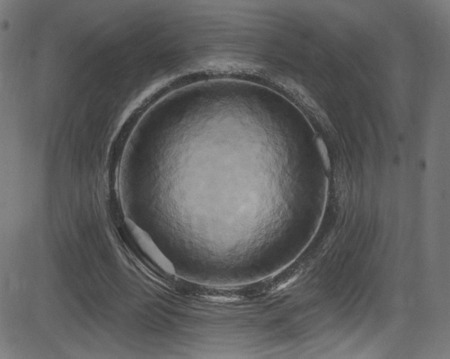 X0000082960488200702011311