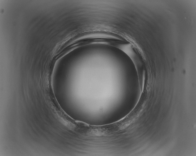 X0000082960489200702011311