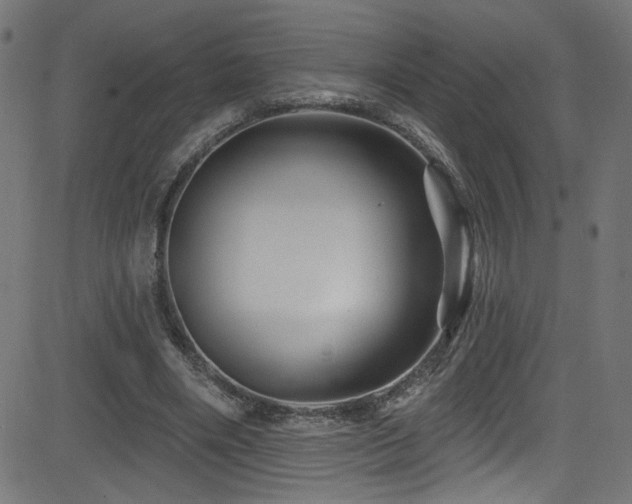 X0000082960490200702011311