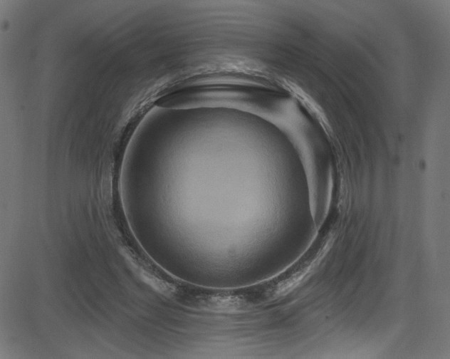 X0000082960493200702011311