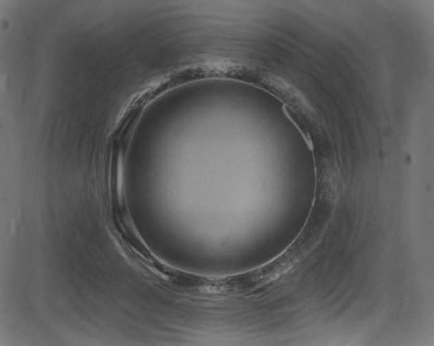 X0000082960496200702011311