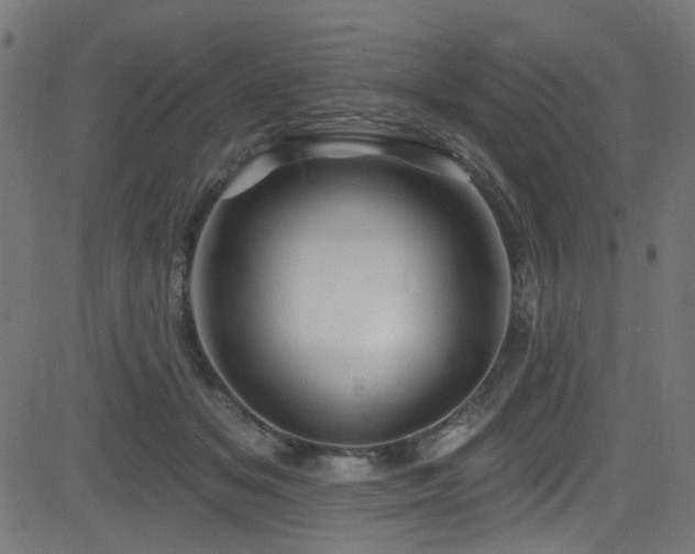 X0000082960509200702011311