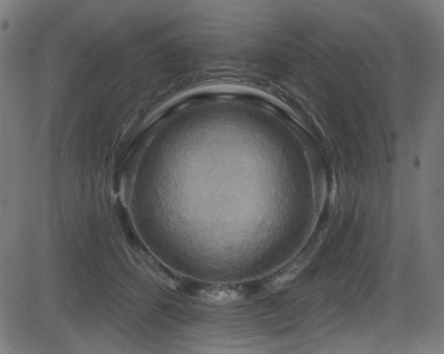 X0000082960512200702011311