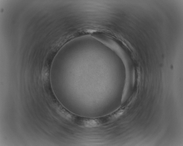 X0000082960513200702011310