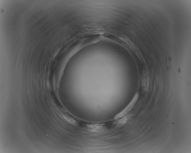 X0000082960516200702011310