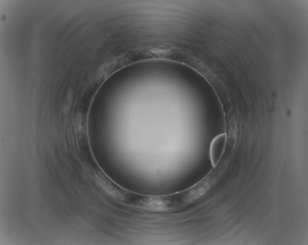 X0000082960518200702011310