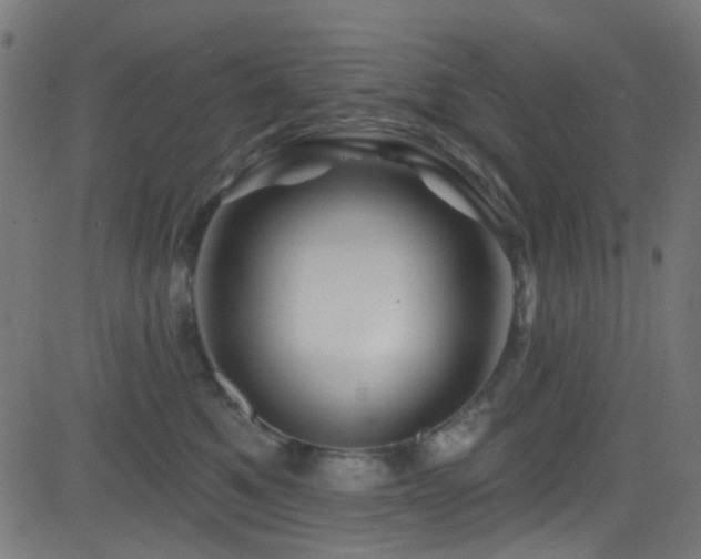 X0000082960521200702011310