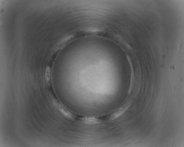 X0000082960528200702011310
