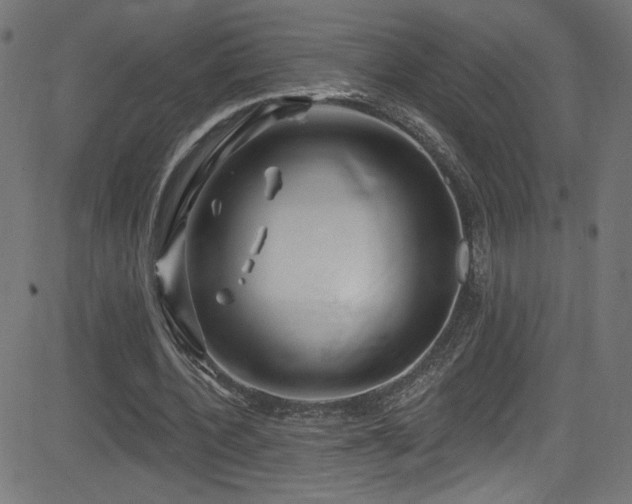 X0000082960532200702011310