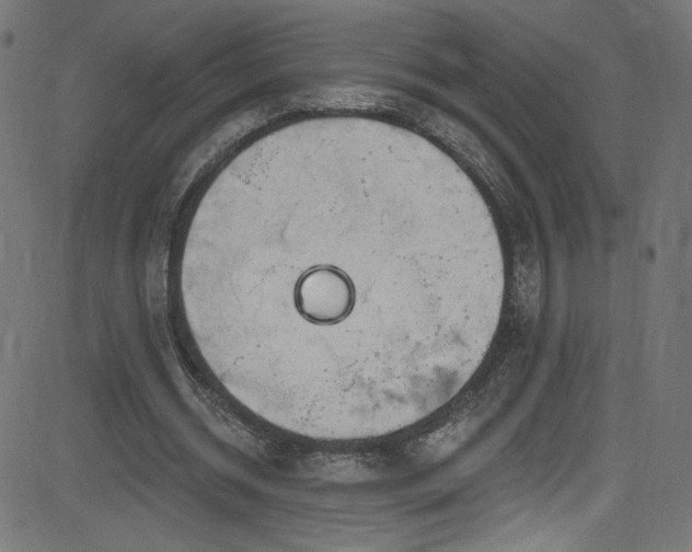 X0000082960534200702011310