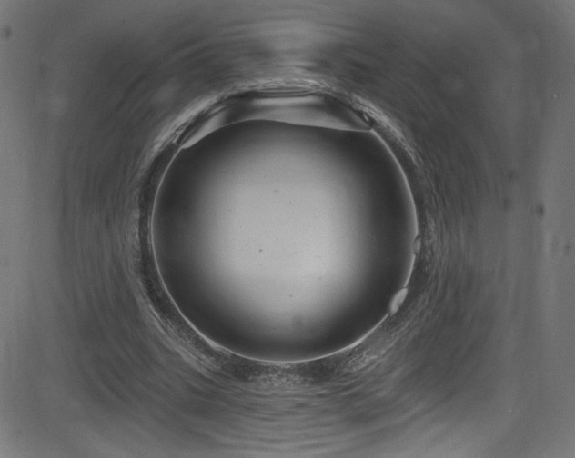 X0000082960535200702011310