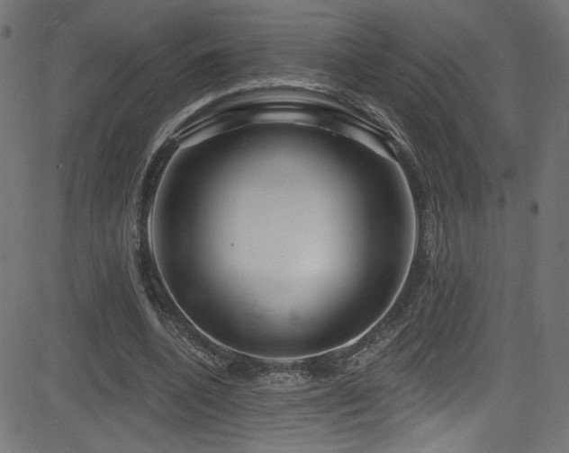 X0000082960536200702011310