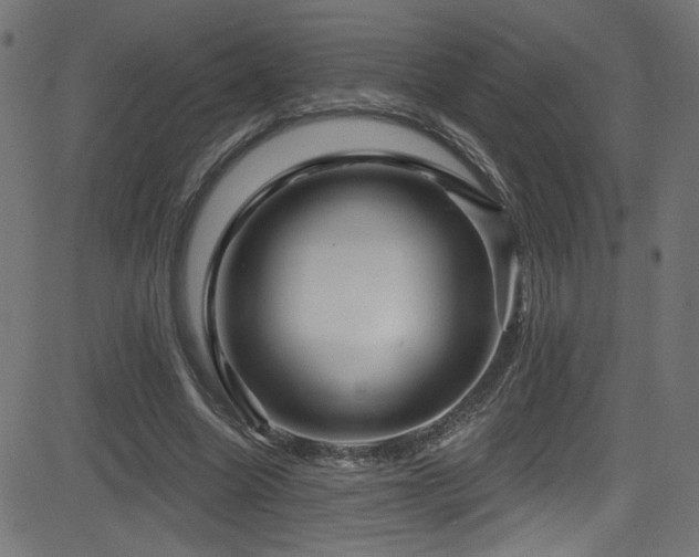 X0000082960538200702011310