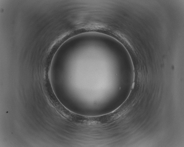 X0000082960539200702011310