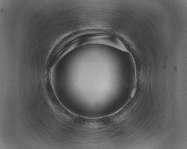 X0000082960540200702011310