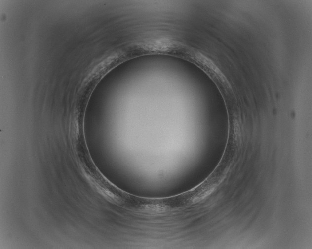 X0000082960541200702011310