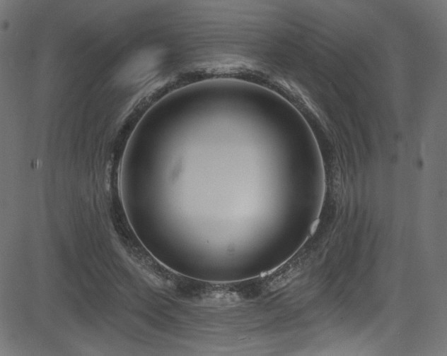 X0000082960543200702011310