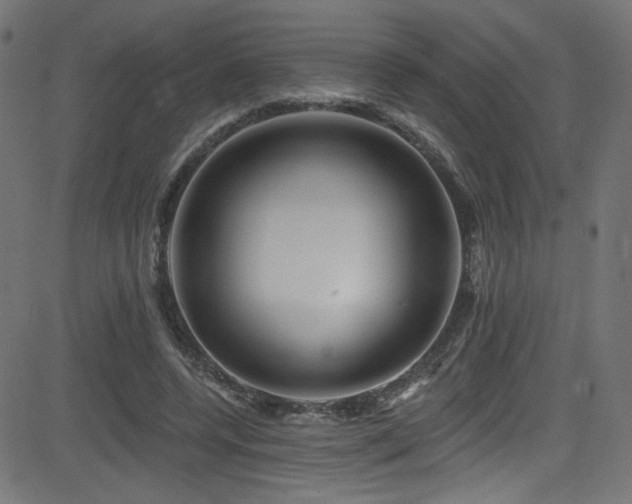 X0000082960544200702011310