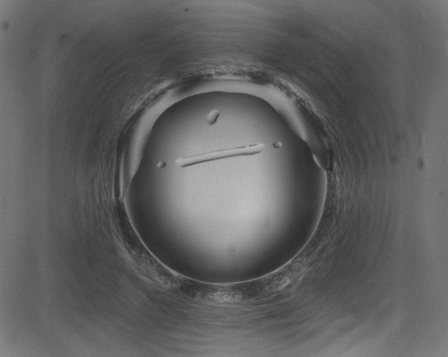 X0000082960546200702011310