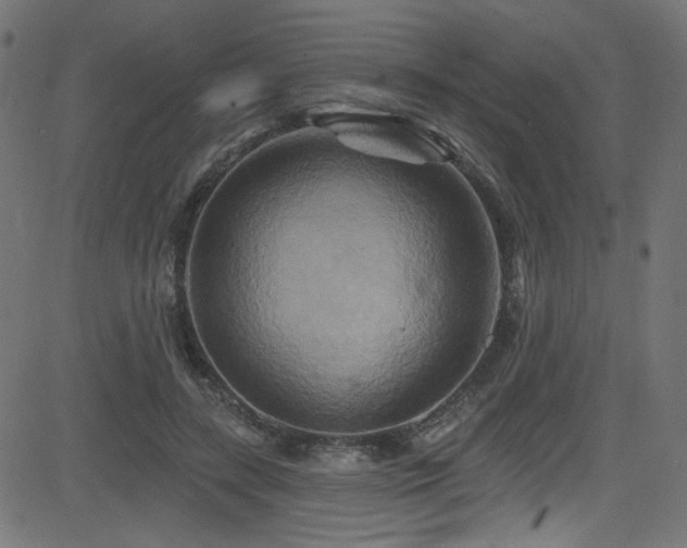 X0000082960547200702011310