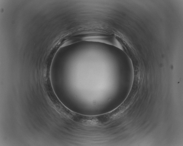 X0000082960548200702011310