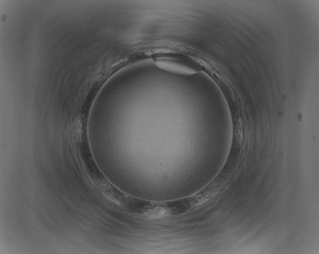X0000082960551200702011310