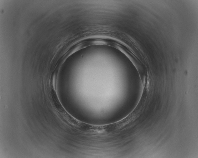 X0000082960552200702011310