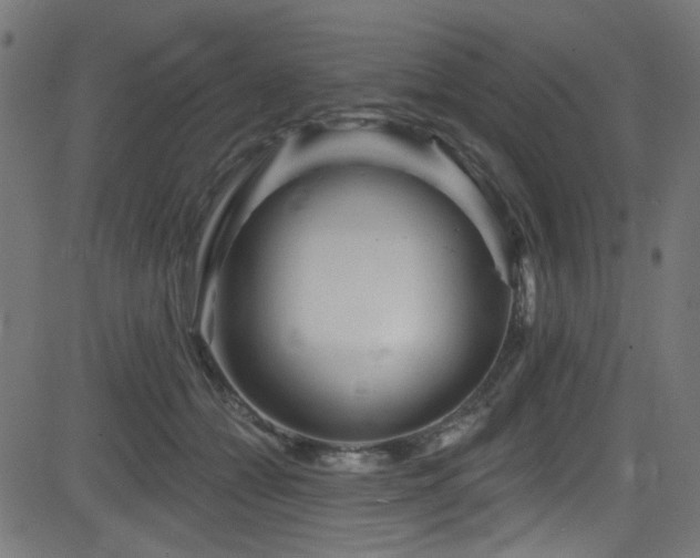 X0000082960558200702011310