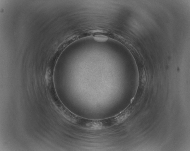 X0000082960559200702011310