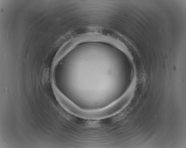 X0000082960560200702011310