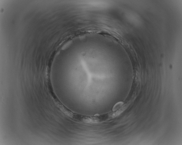 X0000082960561200702011310