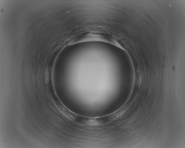 X0000082960562200702011310