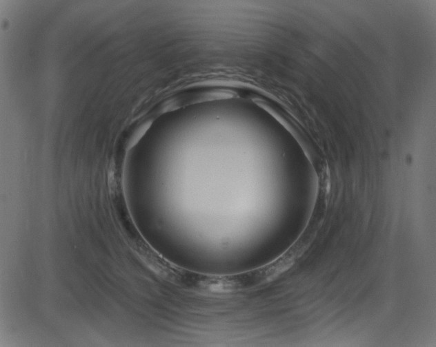 X0000082960564200702011310