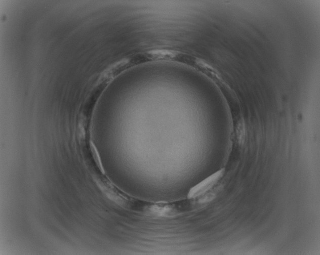 X0000082960570200702011310