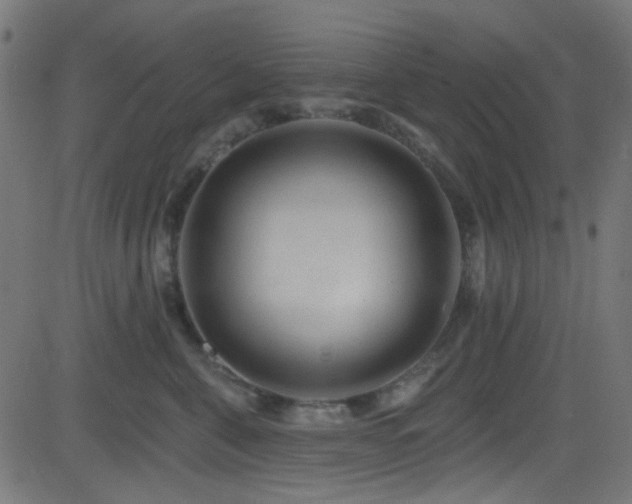 X0000082960571200702011310