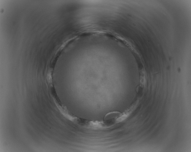 X0000082960573200702011310