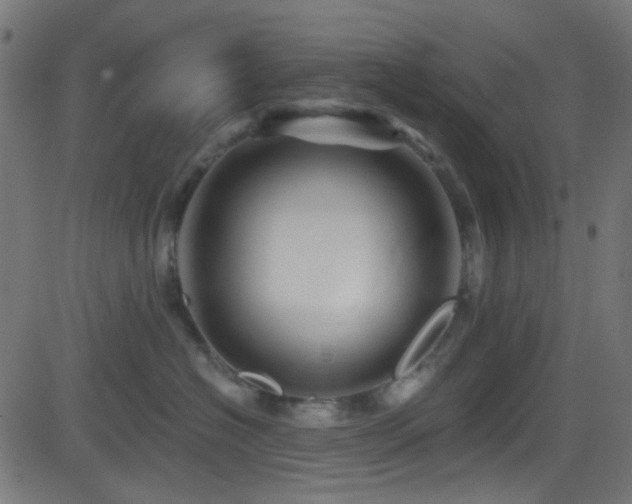 X0000082960574200702011310